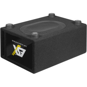 Subwoofer im Gehäuse ESX DBX200Q