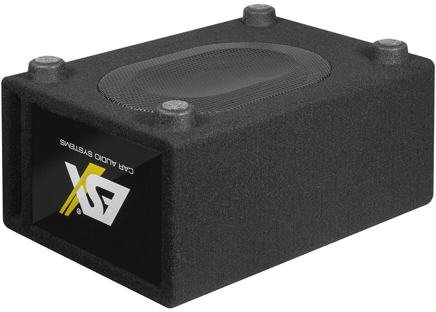Subwoofer im Gehäuse ESX DBX200Q