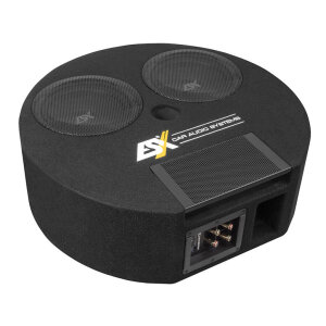 Subwoofer im Gehäuse ESX DBX800Q
