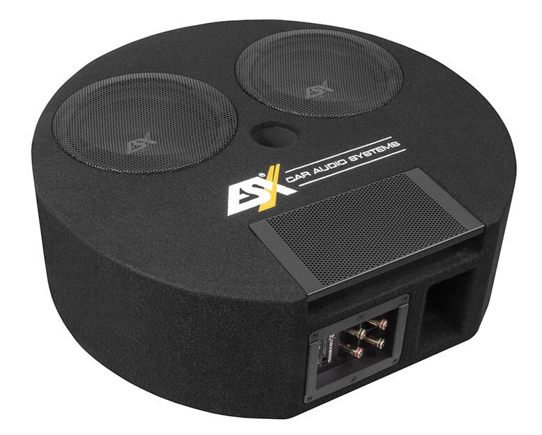 Subwoofer im Gehäuse ESX DBX800Q