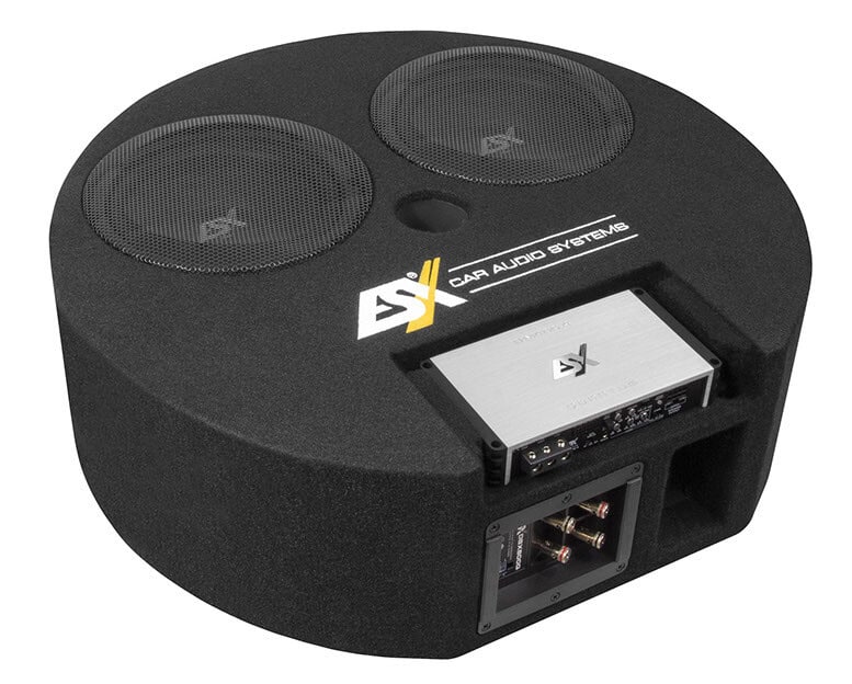 Subwoofer im Gehäuse ESX DBX800Q