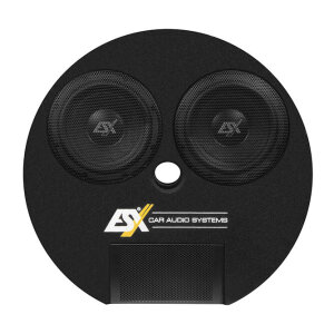 Subwoofer im Gehäuse ESX DBX800Q
