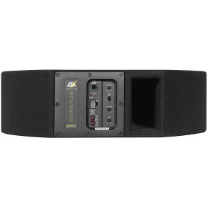 Aktiver Subwoofer im Gehäuse ESX Q300Av2