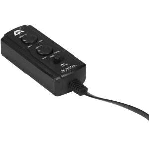 Aktiver Subwoofer im Gehäuse ESX SL300A