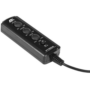 Aktiver Subwoofer im Gehäuse ESX V1100A