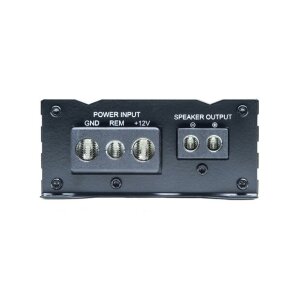 Endstufe Digital Designs SA500.1