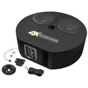 Aktiver Subwoofer im Gehäuse ESX DBX800A